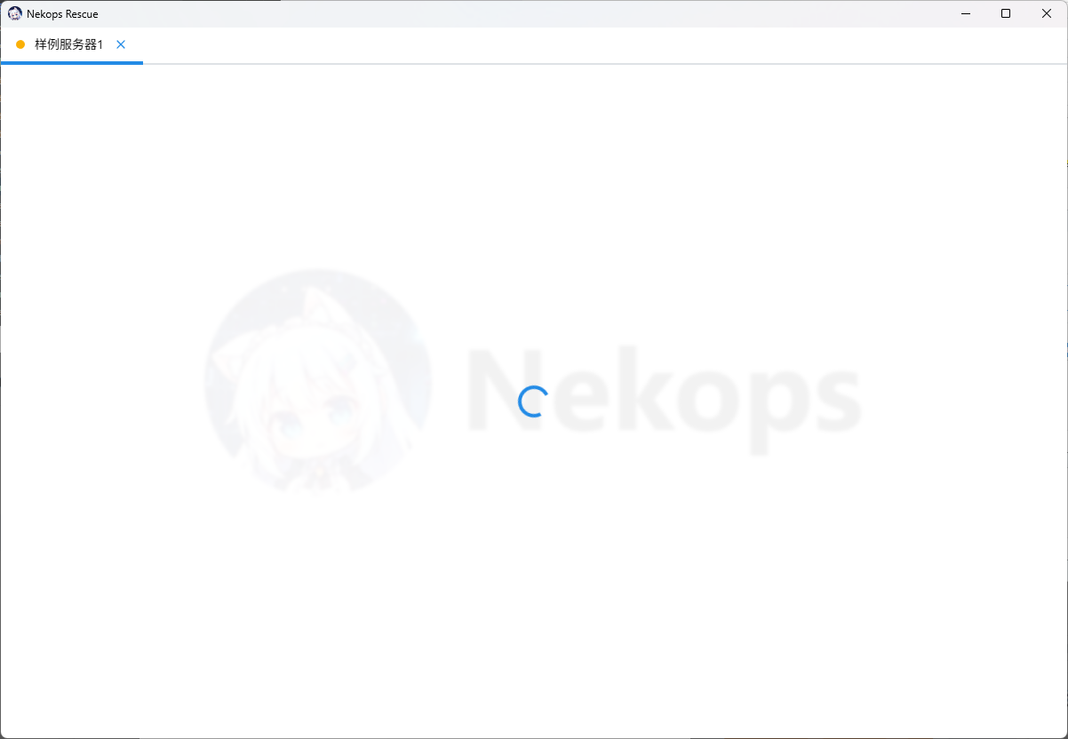 启动的 VNC 客户端